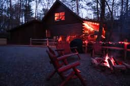 Snuggled Away | Cherry Log Mountain - Image 2