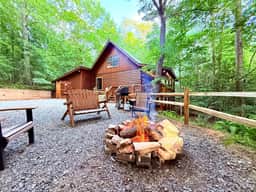 Snuggled Away | Cherry Log Mountain - Image 5