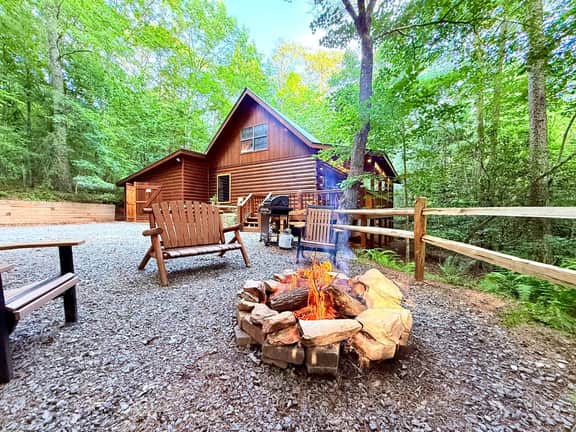 Snuggled Away | Cherry Log Mountain - Image 5