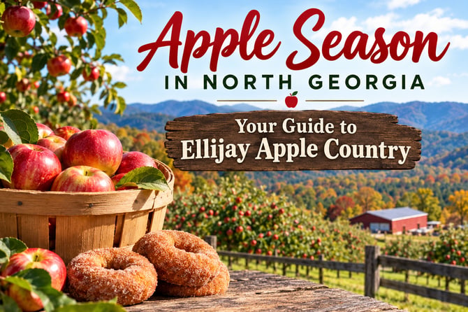 Apple Season in North Georgia: Your Guide to Ellijay Apple Country 🍎