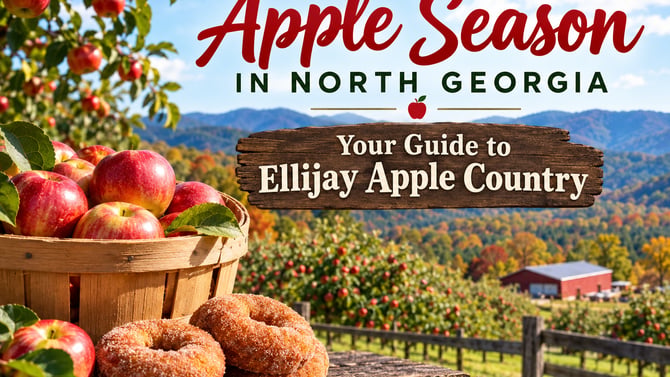 Apple Season in North Georgia: Your Guide to Ellijay Apple Country 🍎