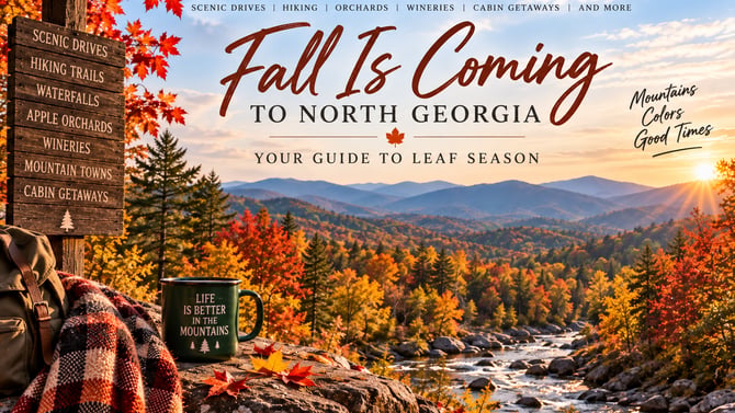 Fall Is Coming to North Georgia: Your Guide to Leaf Season